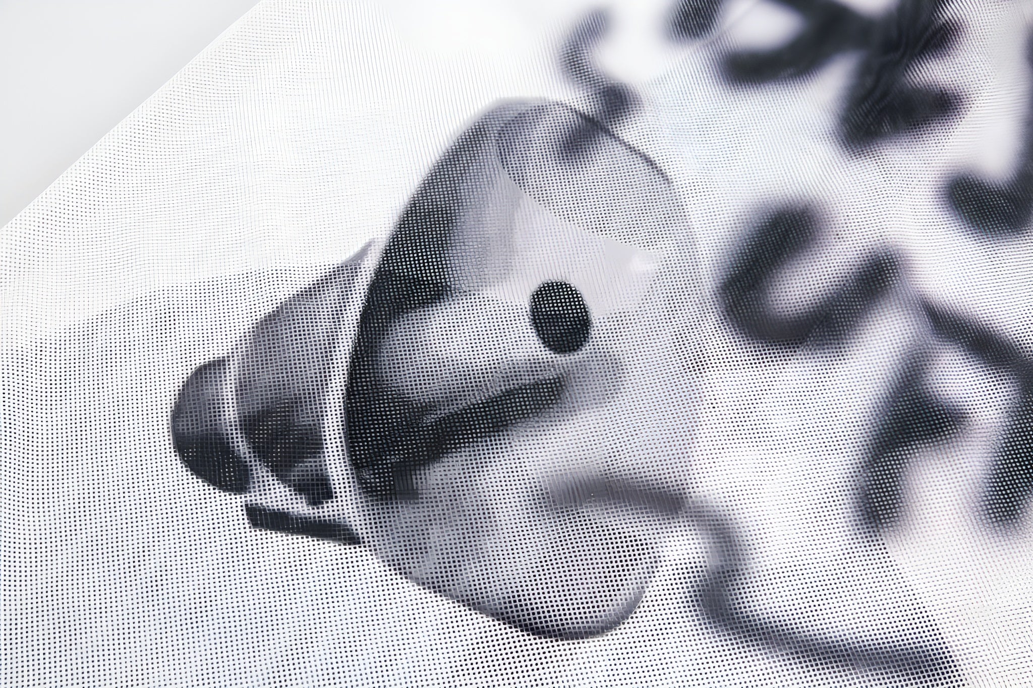Bad Attitude – Graphic Shirt